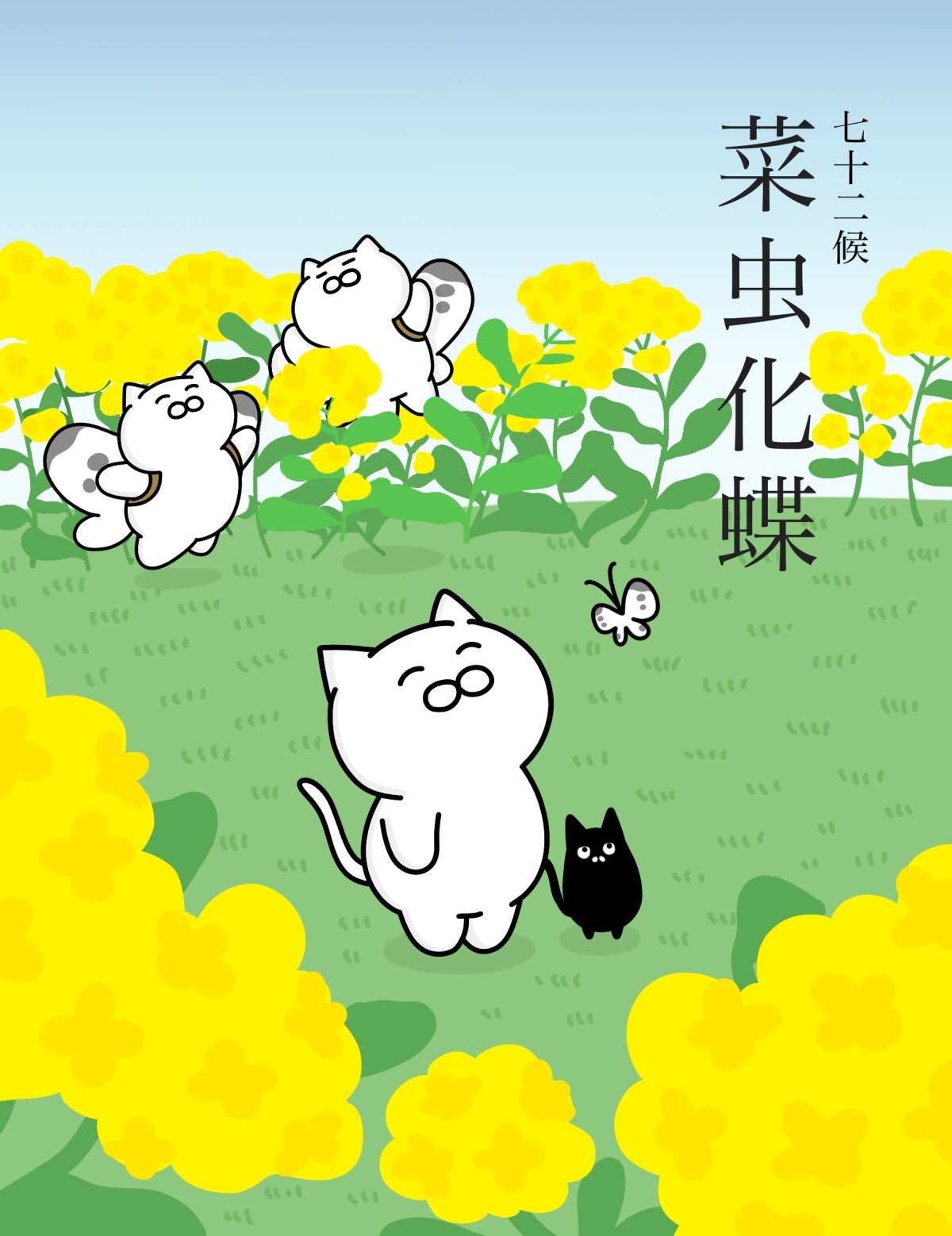 大和猫 菜虫化蝶 なむしちょうとなる 越冬したサナギが羽化し 蝶へと姿を変えること 菜虫とは青虫のこと 七十二 候のひとつで 二十四節気の啓蟄の末候にあたる 3月16日 3月日ごろ 七十二候 T Co Eklmh8bog2 Twitter