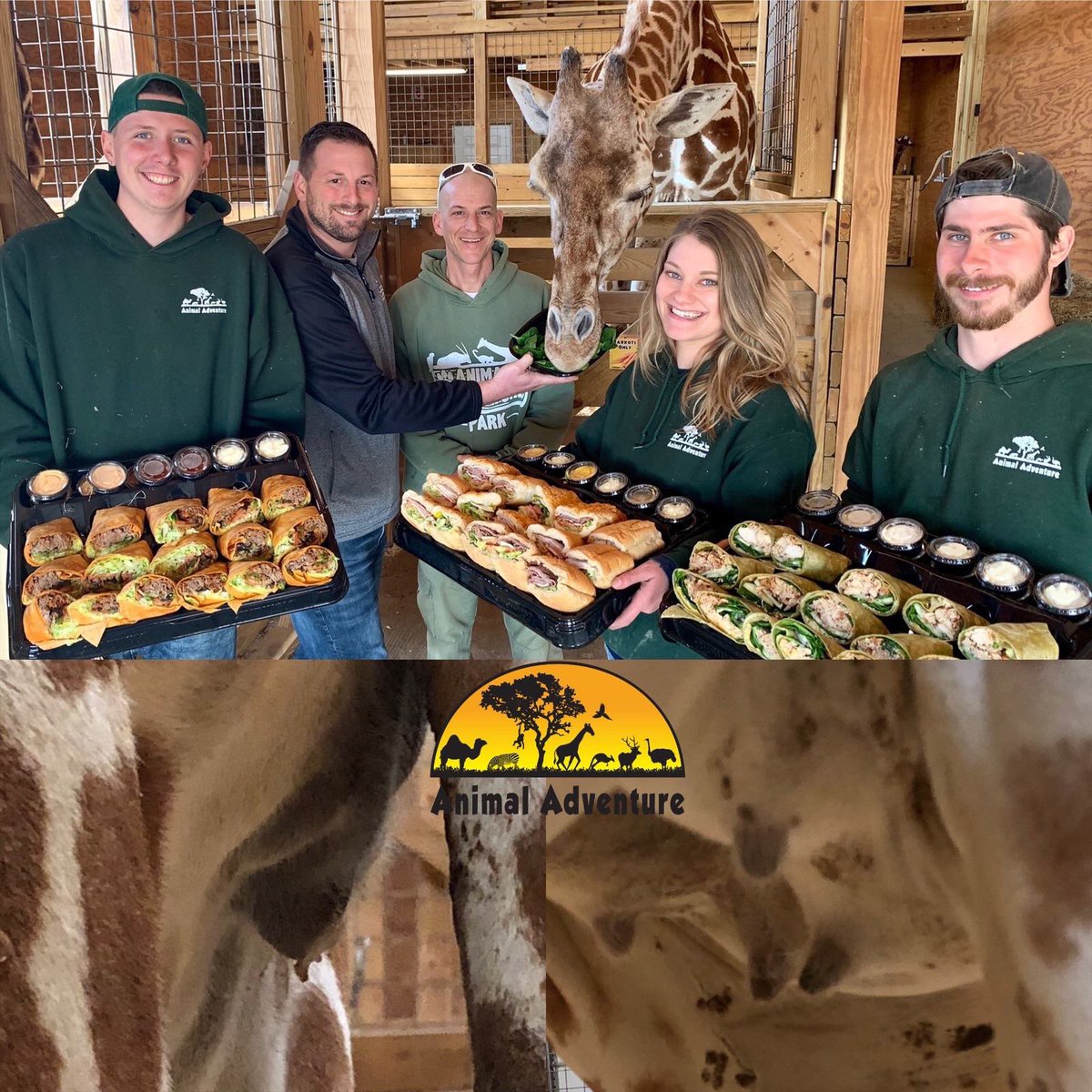 AprilTheGiraffe tweet picture