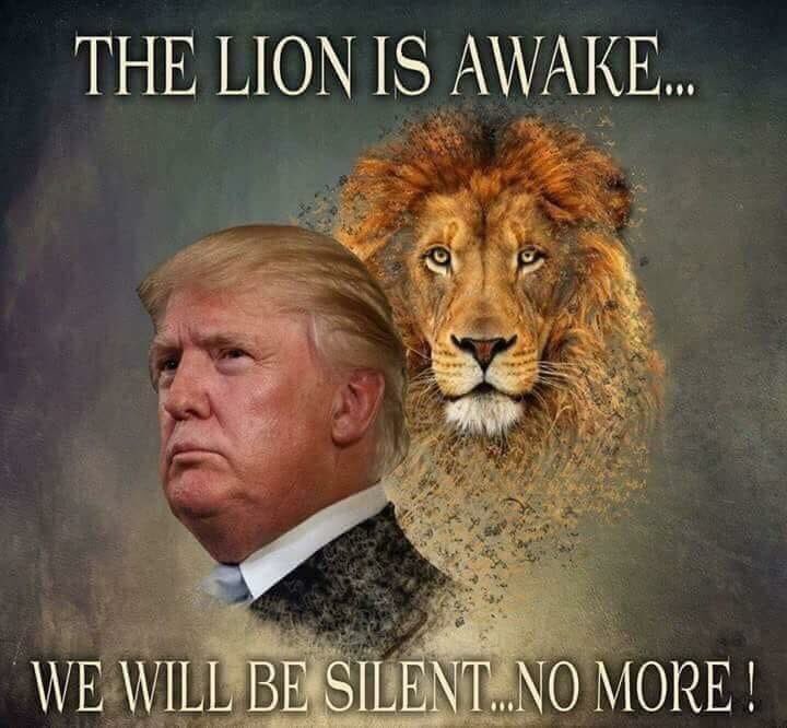 Sistreat's tweet image. VETO!!!! Thank you President Trump and all the border officials and families of slain victims who came forward to stand with our President!  Each of you are so awesome! #TRUMP2020