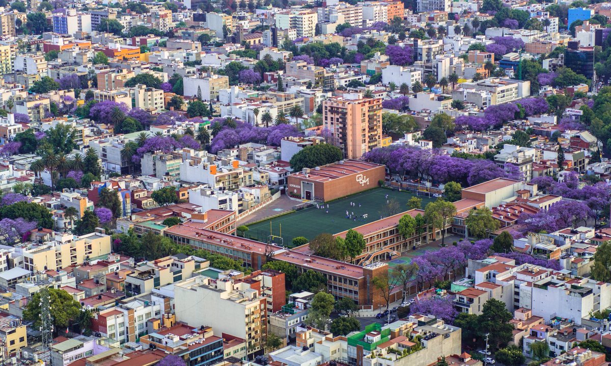 Las arterias color jacaranda en esta chilanga ciudad mía.

(eres un genio, <a href="/Santiago_Arau/">Santiago Arau</a>)