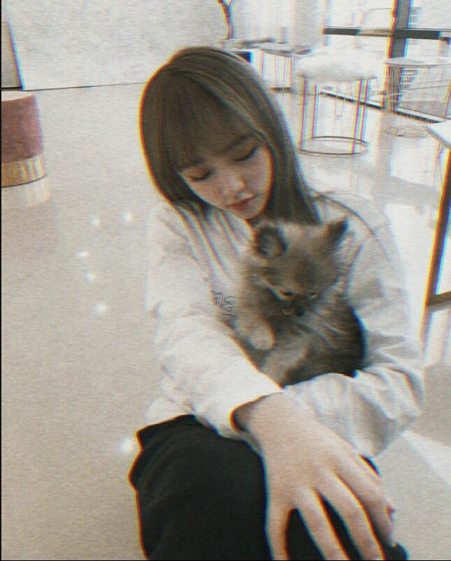 choiyenasoftbot's tweet photo. ⊹ ♡ #최예나   °˖   #izone . . . ♡ ⊹ https://t.co/eof63qCFkr