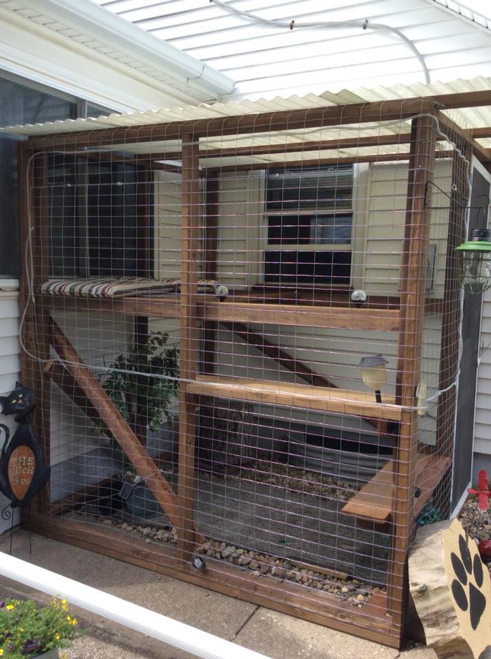 drkarenbecker's tweet photo. These adorable cats lounging in their catios will make you want to build one for your kitty, too! 😻 #FanPicsFriday https://t.co/AndjAirDcY