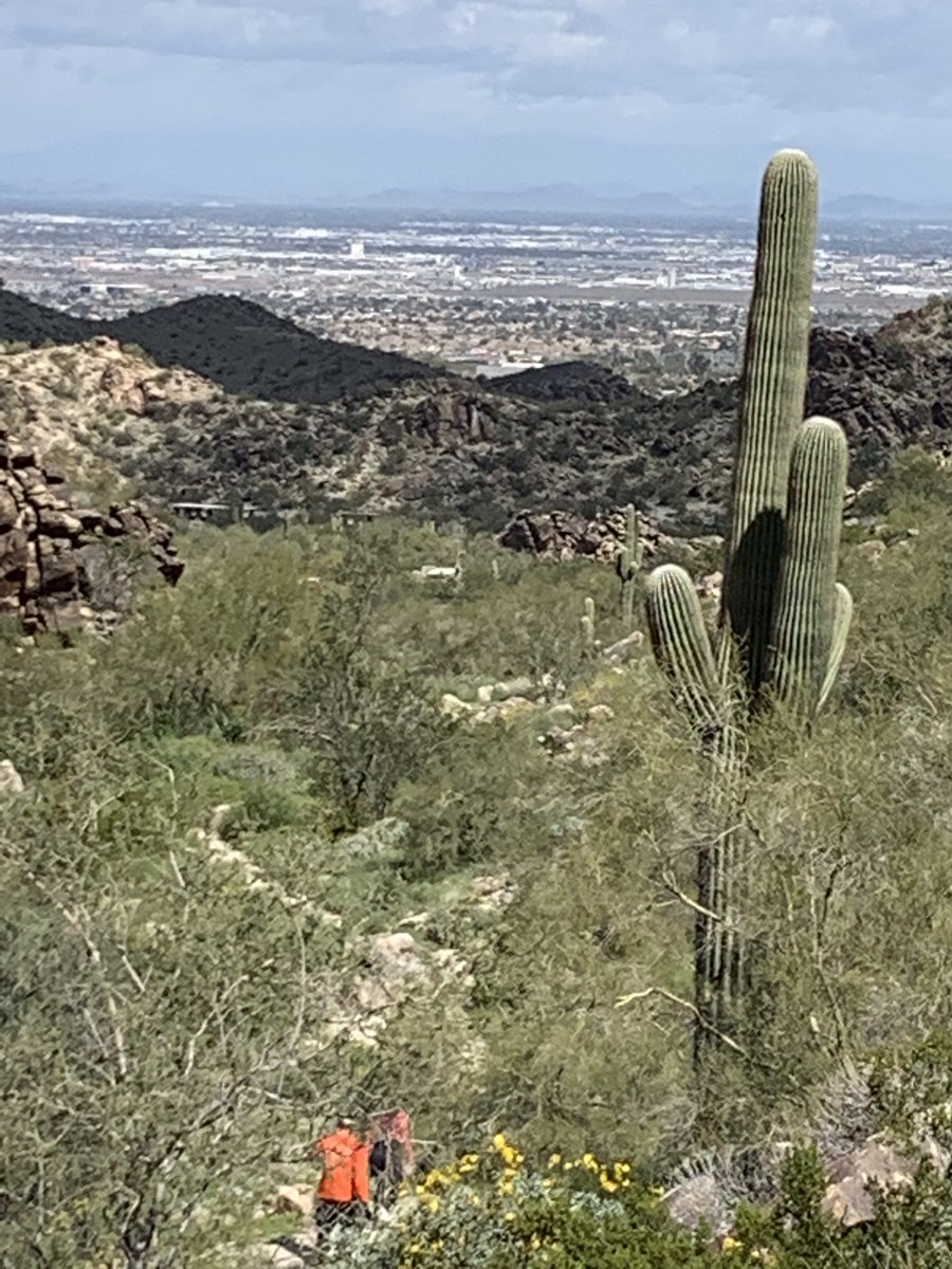 JhoanaMolinaUS's tweet photo. #Springbreak #Hiking #ExploringAZ enjoying the beauty of Mother Nature, Spring is in full blossom. #Azwx #ExplorandoAZ escalando montañas y disfrutando de la belleza silvestre. https://t.co/4sbwsXj3tJ