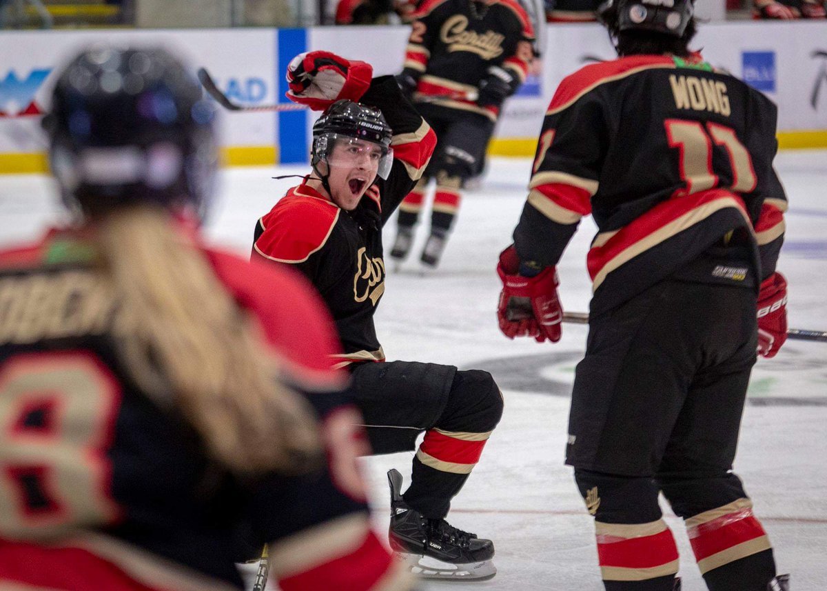 Matthew Lofthouse tweet media