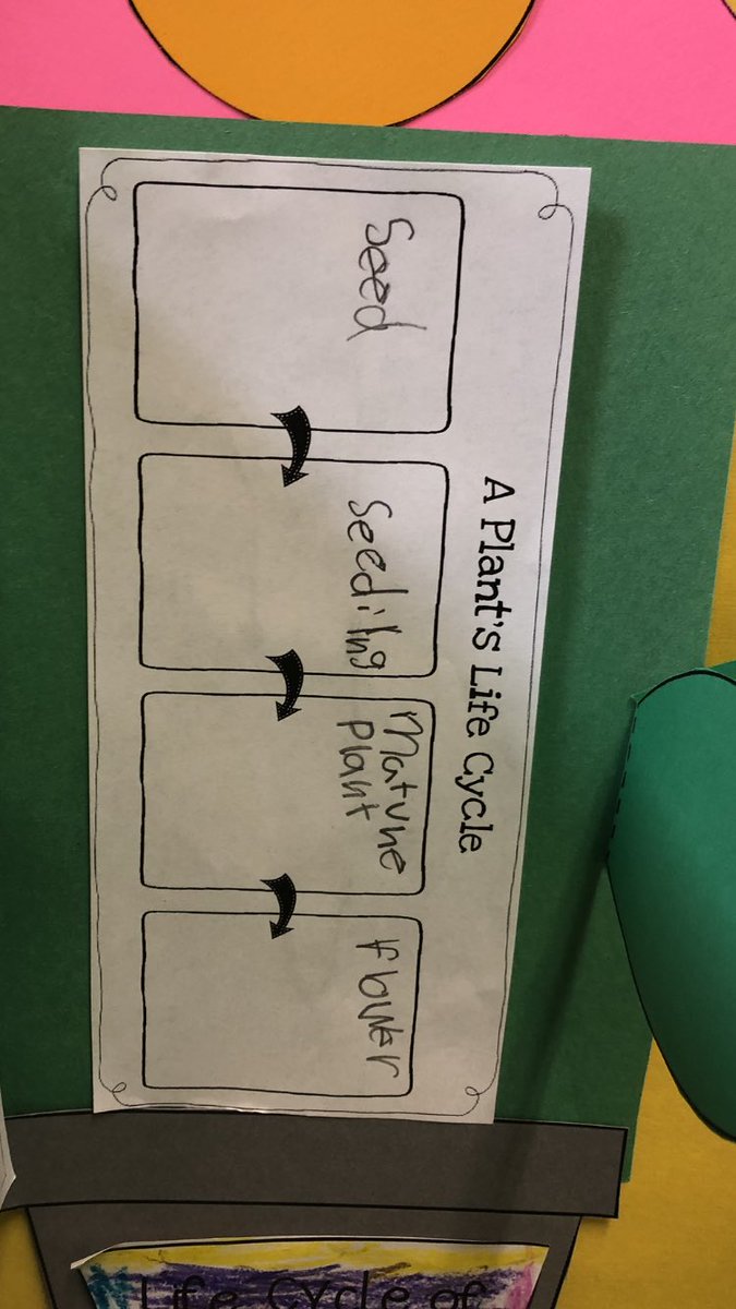 This is how we teach in DL Kindergarten classes at Hobby ES.. Authentic Writing in SLA/ELA. The student uses the same writing strategy to write two different documents in English and Spanish .  Excellent team planing Mrs. Downing and Mrs. Stiggers <a href="/Education_ID/">Isaac Daniels</a>