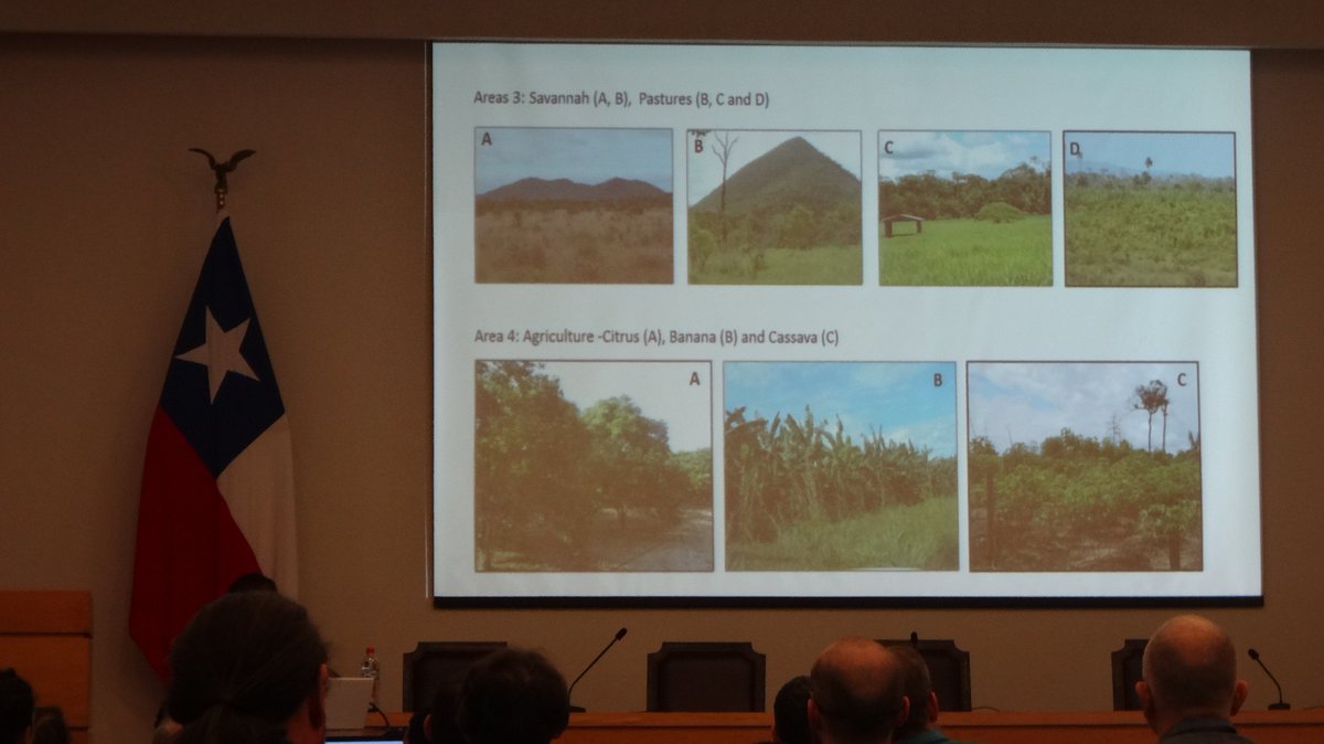 SoilTessera's tweet photo. Marcelle Urquiza
Organic carbon stocks in soils of the central region of Roraima, northern Amazonia: implications for conservation and management
Workshop for Digital Soil Mapping and GlobalSoilMap 2019
#DigitalSoilMapping #GlobalSoilMap #soilmapping2019 https://t.co/c183JlbfYc