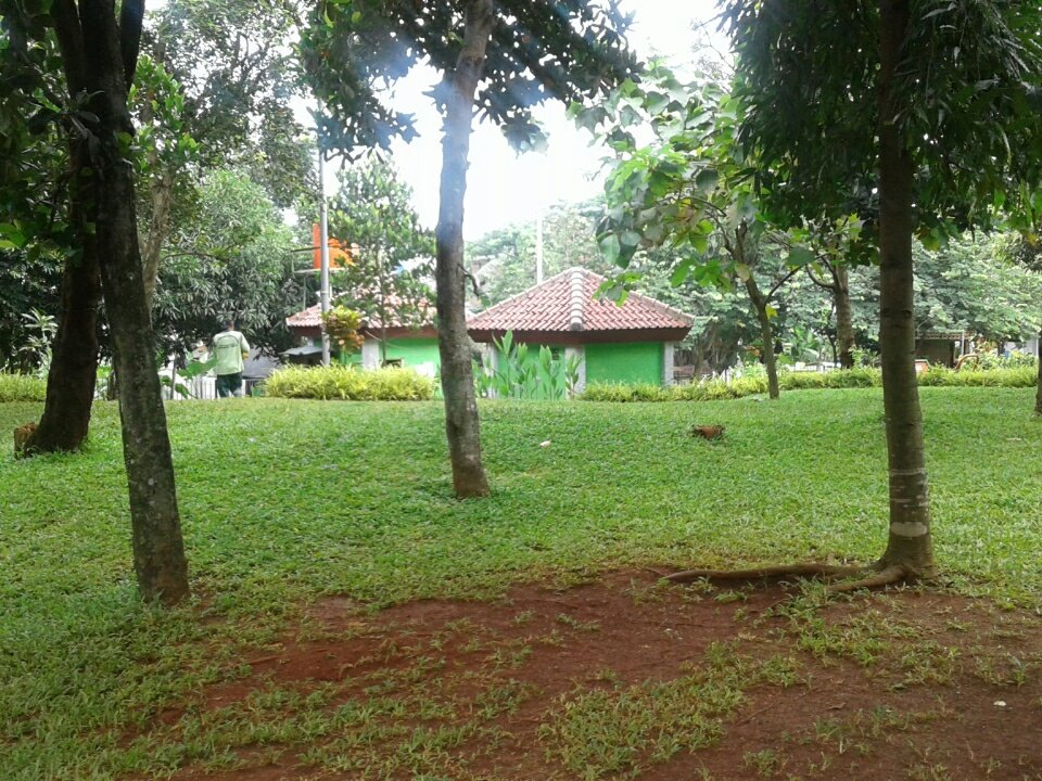 Pokdarcipayung At Pokdarcipayung Twitter