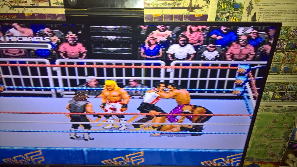 WP_20190315_22_34_31_Pro
This item will be shared