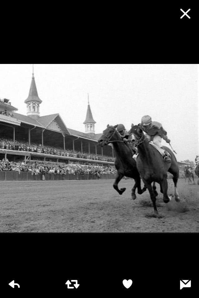Lazbrookes's tweet photo. LAZBROOKES SATURDAY NAP 

WOL. 7.15. SONNET ROSE

       16/1 EW. (Various) https://t.co/1pbplv6Ck4