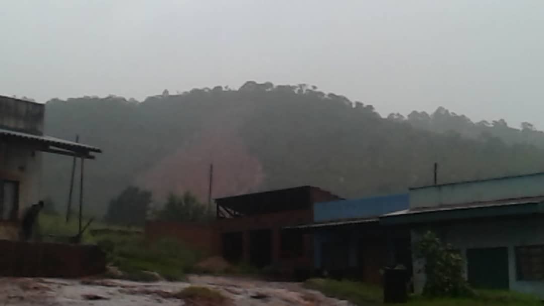 ZBCNewsonline's tweet image. CYCLONE IDAI: Trail of destruction in Chipinge