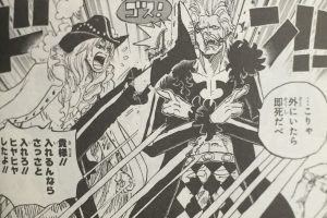 ワンピース バルトロメオの悪魔の実 弱点について詳しくまとめてみた まんが人気考究