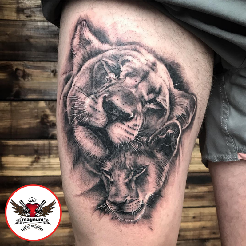 Anthony Maya on Instagram Lioness and her 2 cubs tattsbyant  blessedsaintstattooshop lioness cubs lionesstattoo blackandgreytattoo  inked glendaleaz phoenixaz