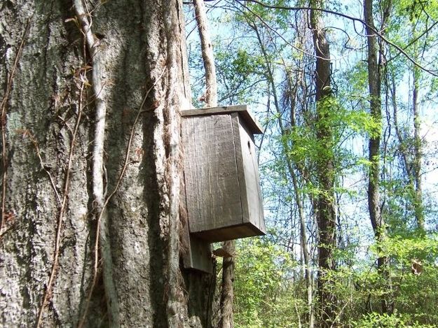 I.B. Geocaching on X: Tucked Inside a Birdhouse (from 19 Ridiculously  Creative #Geocache Containers)    / X