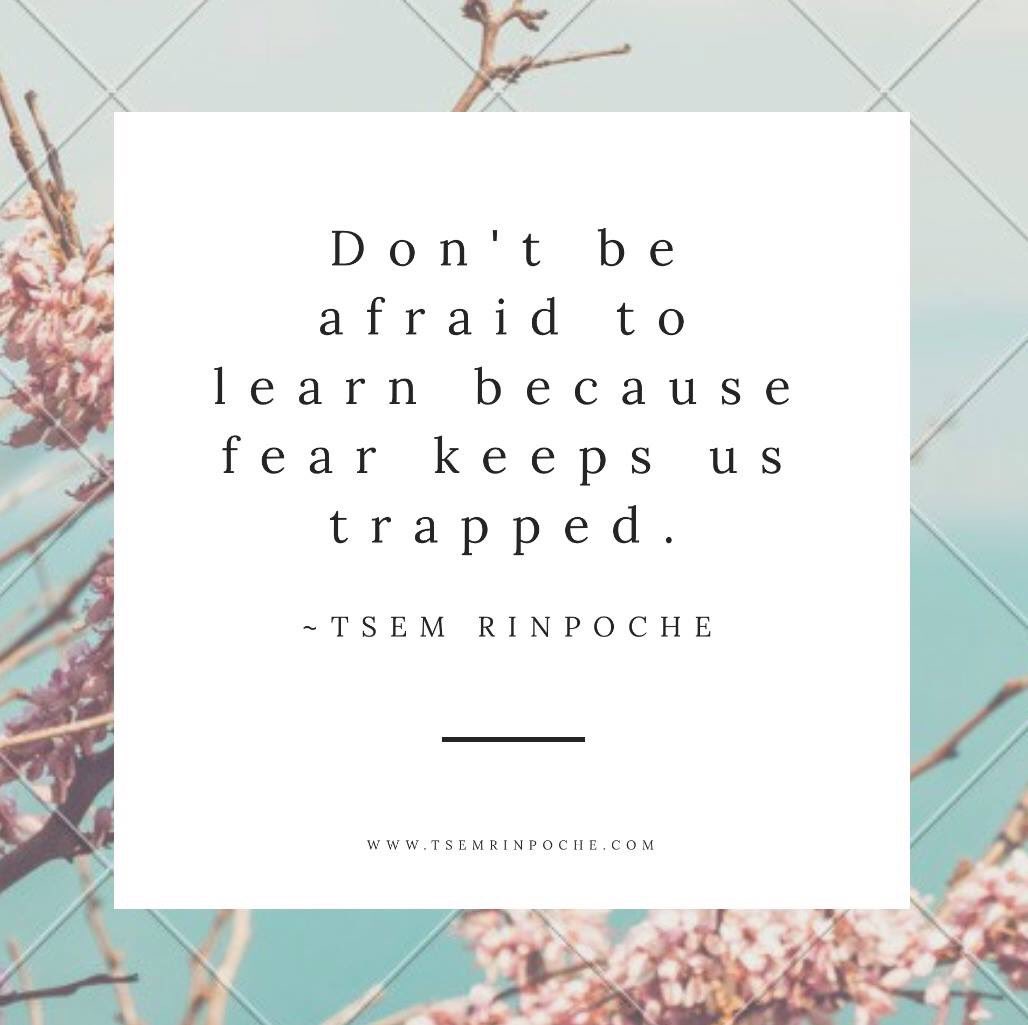 Never stop learning no matter how old we are. Learning is an never ending process. #determination #wordsofwisdom 
#quotestoliveby  
#inspirational by ⁦<a href="/tsemtulku/">Tsem Tulku Rinpoche</a>⁩