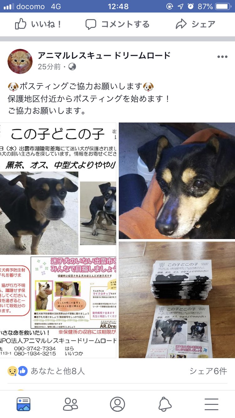 よっぴ T Co Owiygxnwtn また 島根県出雲市 から 迷子犬 の 飼い主さんへ届け なんて迷子が多いことか 迷子札つけよう 出雲市迷子犬 迷子犬 島根県 飼い主知りませんか アニマルレスキュー 動物愛護 保健所 T Co Tenmxp3jjm