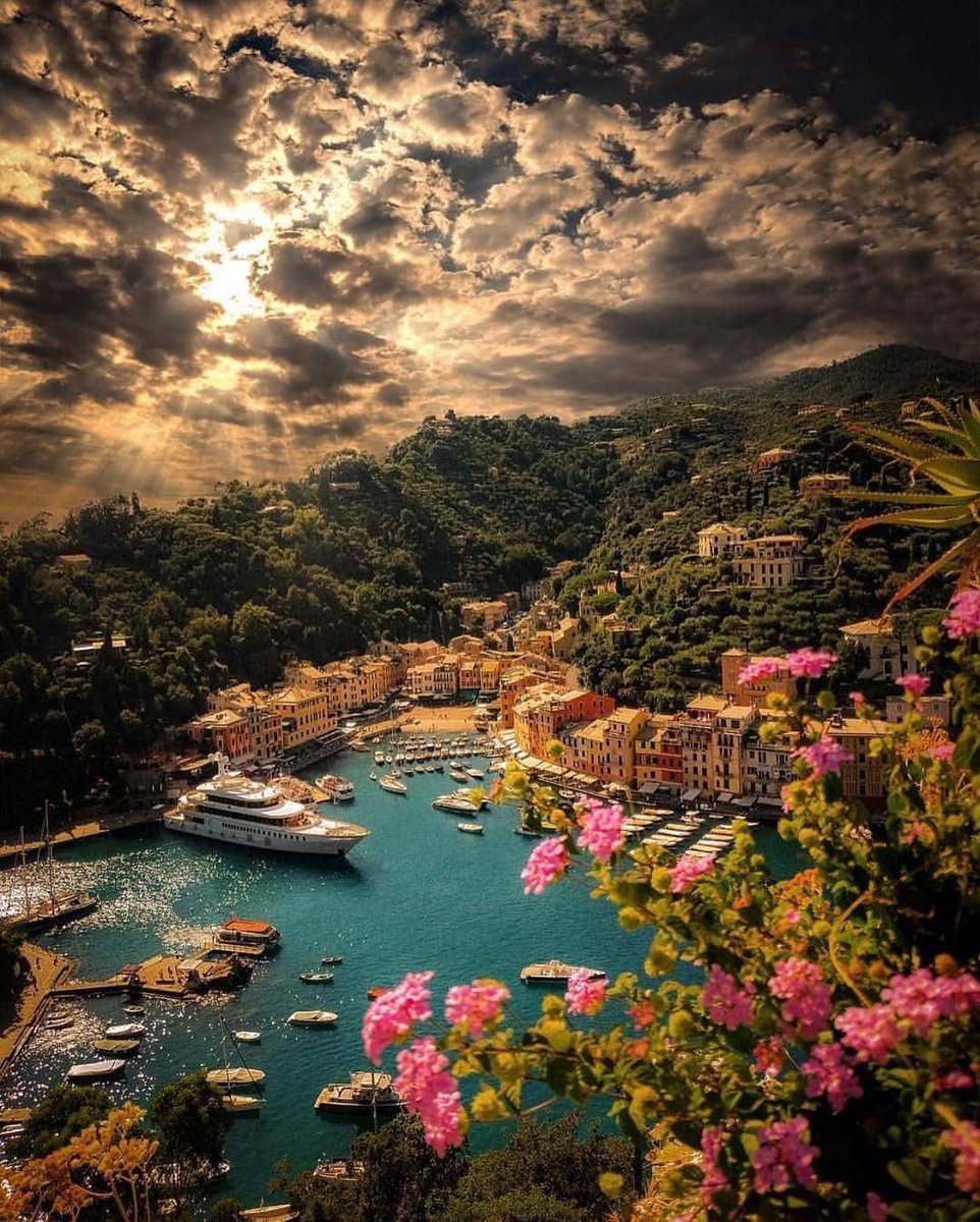 CultureOA's tweet image. بورتوفينو، ايطاليا 🇮🇹 
#portofino
.
قرية بحرية صغيرة على الريفيرا الإيطالية في مقاطعة "جنوى" تشتهر في صيد الأسماك وكثرة الدلافين بها.

الريفييرا "Riviera” هي كلمة إيطالية الأصل وتستعمل لأي منطقة ساحلية مشهورة بالسياحية.

• تبعد عن روما مسافة 485كم 
• وعن ميلانو 172 كم