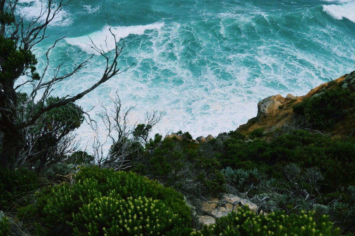 adriismithh's tweet photo. See ya tomorrow Australia!!!!!!!! Enjoy some pics from my last visit!!!!! https://t.co/smhlFzLDXb