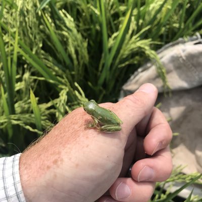 jmas92's tweet photo. #NewProfilePic https://t.co/nQsdYEYyre