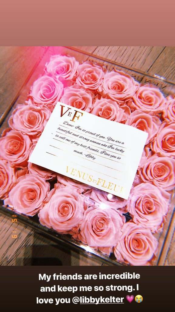 Demi Lovato Brasil tweet media