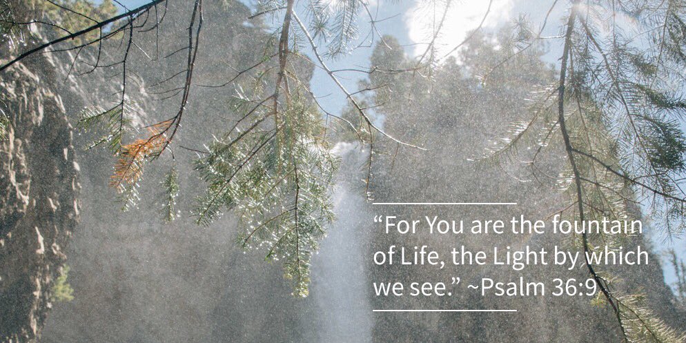 PathwayChurchMC's tweet photo. “For You are the fountain of Life, the Light by which we see.” ~Psalm 36:9 #pathwaylife https://t.co/34fwUafoAO