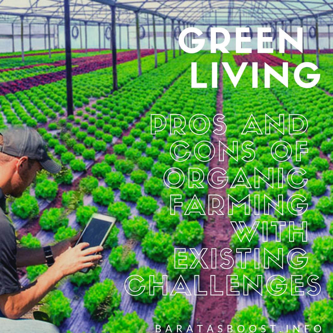 baratasboost's tweet photo. Pros And Cons Of Organic Farming With Existing Challenges
#GreenLiving #greenlivinggoddess #greenlivingdxb #greenliving #greenlivinginnovations #greenlivingexpo #greenlivingmovement #cleanbeauty #gardening #balconygarden #urbangardener #urbangardening #mygreentreasure https://t.co/3JAGTE2woB