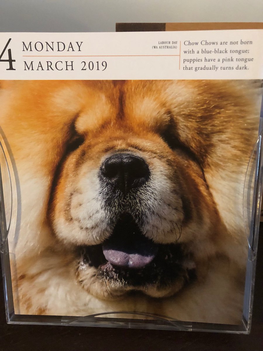 I admit it. I am 1000+ years old and when I see a Chow on my Moms’s calendar I think of <a href="/Deligracy/">Deligracy</a>