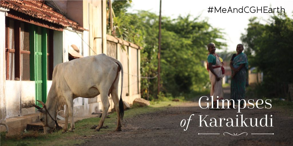 CGH_Earth's tweet photo. The home of #CGHEarth #Visalam is the #Kanadukathan village of #Karaikudi town in Tamil Nadu. The name Karaikudi originated from a thorny plant called ‘Karai’ commonly found here, and ‘Kudi’ which means settlement.
#MeAndCGHEarth #SouthIndia #TravelLocal #TamilNaduTourism https://t.co/g4XDLcOMvP