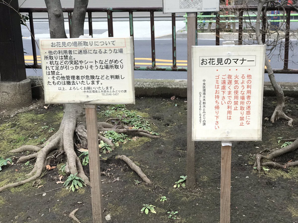 花見場所取り Twitter Search