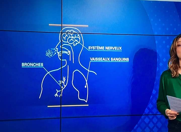 oscar_sciences's tweet photo. Non mais franchement @BFMTV @BFMTV_Inside @BFMParis #FallaitEcouterEnSVT. C'est du niveau collège. .... #choisisSpeSVT https://t.co/v4PlGIlgyT