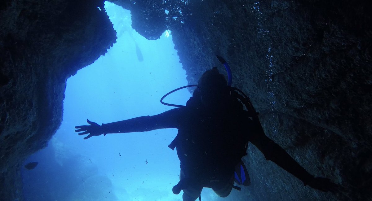 Can’t wait for another dive in #SolitaryIslands marine park, with its 30 metre vis and abundance of Spanish dancer nudi’s 💃🏻 It’s been too long!