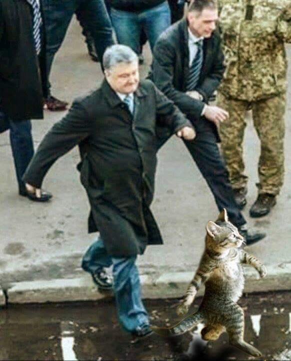 Член ЦИК самостоятельно решает, достаточны ли основания для коллегиального рассмотрения обращений, - Верховный Суд - Цензор.НЕТ 6449