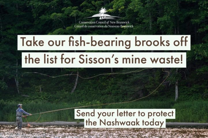 cc_nb's tweet photo. ATTENTION! This is your FINAL CHANCE to stand up in defense of the Nashwaak watershed and say ‘NO’ to dumping mining waste into our local fish-bearing waters --> https://t.co/ciHwLX71OT #Sisson #SissonMine #WaterNBEau https://t.co/LfXLOWOnNB