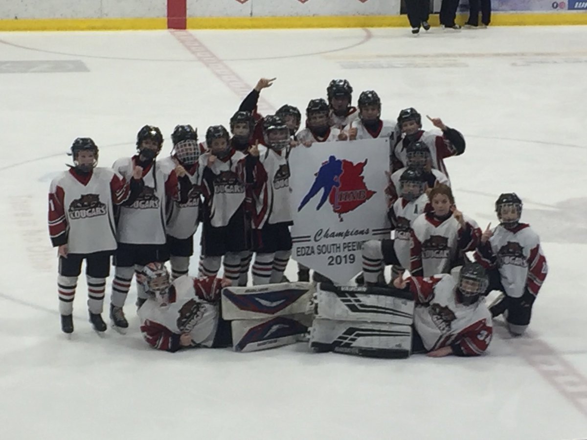 M_Stevenson_06's tweet photo. We did it.  Next step provincials. 🏒💥💪🏼🎉🌟🥇#teamworkmakesthedreamwork https://t.co/GGj9j2wLhF
