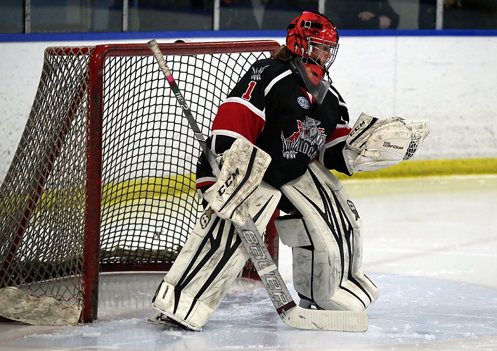 dvo_30's tweet photo. Southwest Wildcats Amassing College Commitments

Story and pictures by @dvo_30 

https://t.co/QHWFFa4Ju9

#YQG #yqgsports @sw_wildcats @PWHL_Hockey @OWHAhockey @FanZoneSports https://t.co/HUji0lrtRN