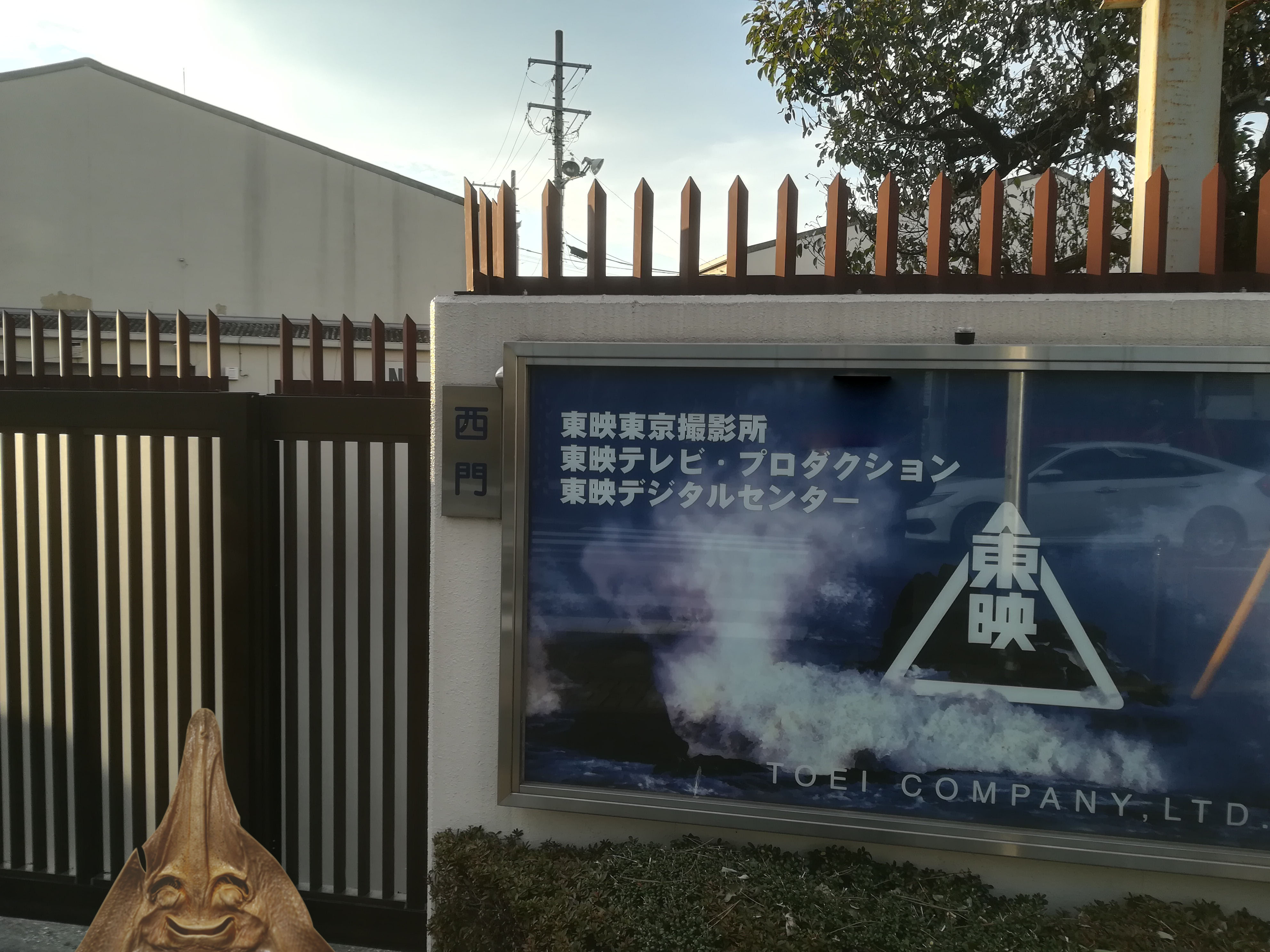 エイの干物 東映アニメーションミュージアムの向かいは 東映撮影所やった 映画が始まる前に波がザッパーンってなる東映 仁義なき戦い とか東映映画好きやったから結構嬉しい 入れなかったけど見学したいわ T Co G3hkktc02h Twitter