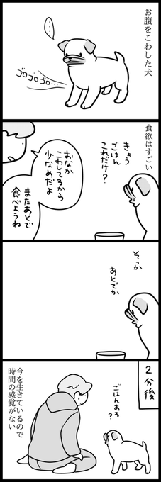 お腹の調子 