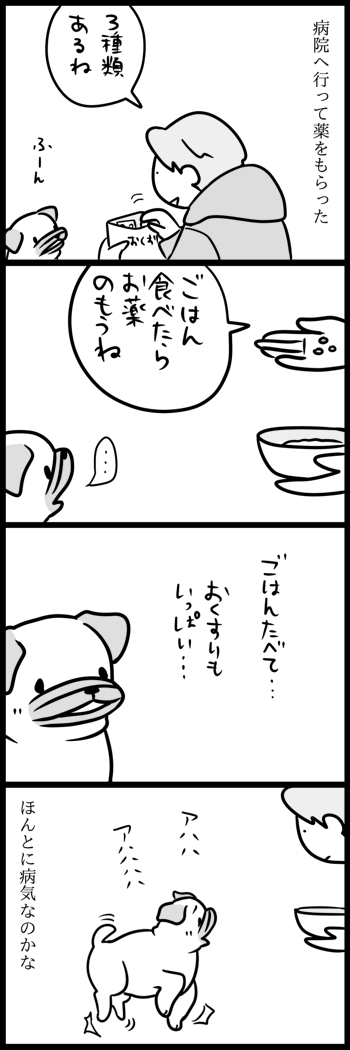 お腹の調子 