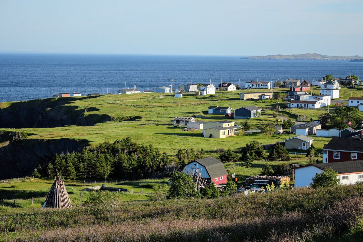 kathistacey's tweet photo. Sharing some of the “greens” of Newfoundland for #StPatricksWeekend from the lawns of Mockbeggar #Bonavista the green fields of #BurntPoint the flats in #Branch and the shores of #Trepassey have a grand weekend. #ExploreNL https://t.co/kWQ7fbiYzP