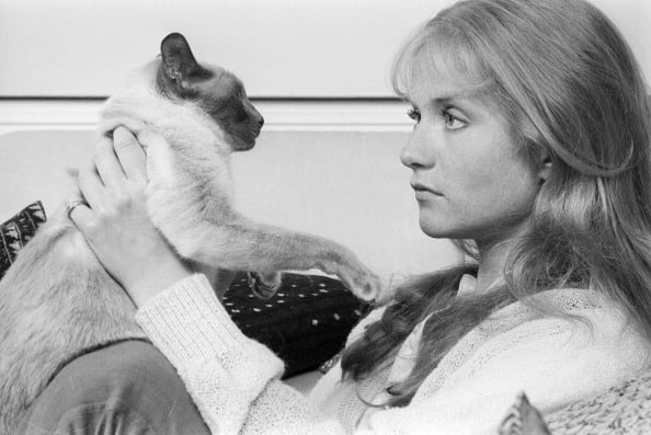 Happy birthday to Isabelle Huppert, lover of cats: 
