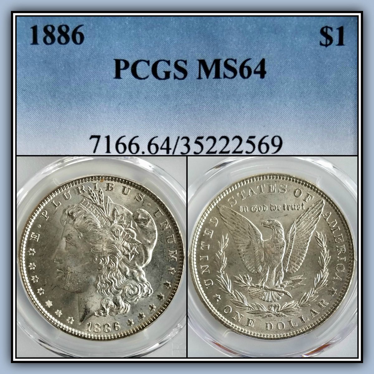 Apex_Collecting's tweet photo. #morgandollar #silverdollar #silver #coin #numismatics #1800s #19thcentury #uscoin #classic #classiccoin #ms64 #mintstate #pcgs #pcgscoin #mintstate64 #uncirculated #brilliant #brilliantuncirculated #coincollecting #collection #coincollection #coins #vintage #antique https://t.co/H1LWiTEqCp