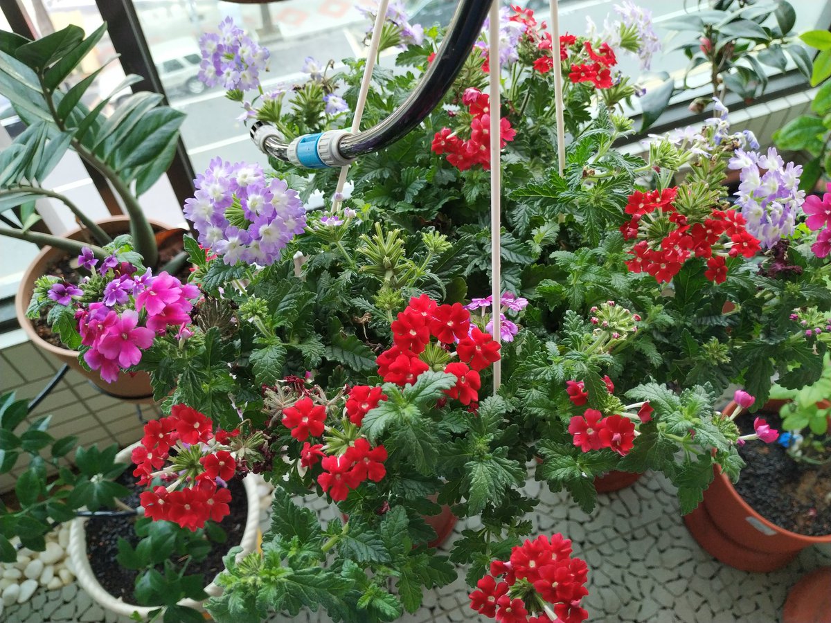 nmduy's tweet image. 