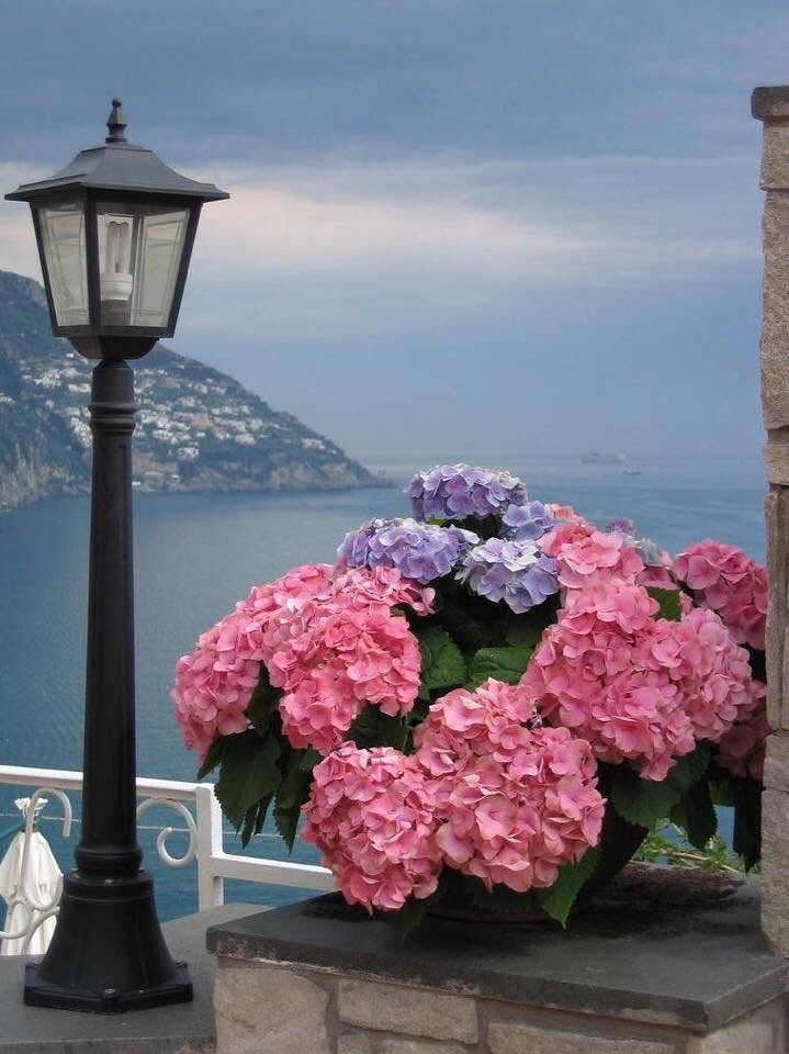 irina3529's tweet image. Morning.. 🌸🌸🌸
Beautiful day for all.. 💗