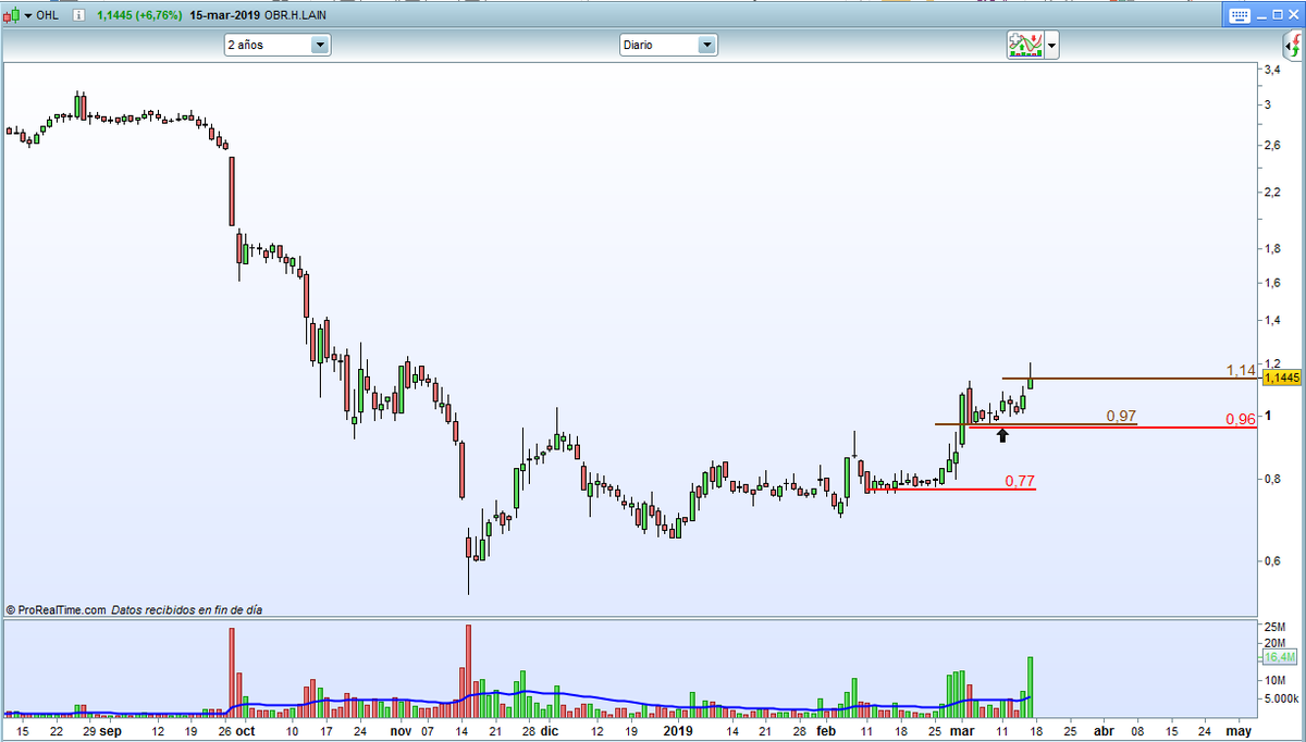 Livingstone the Cat Trader tweet media