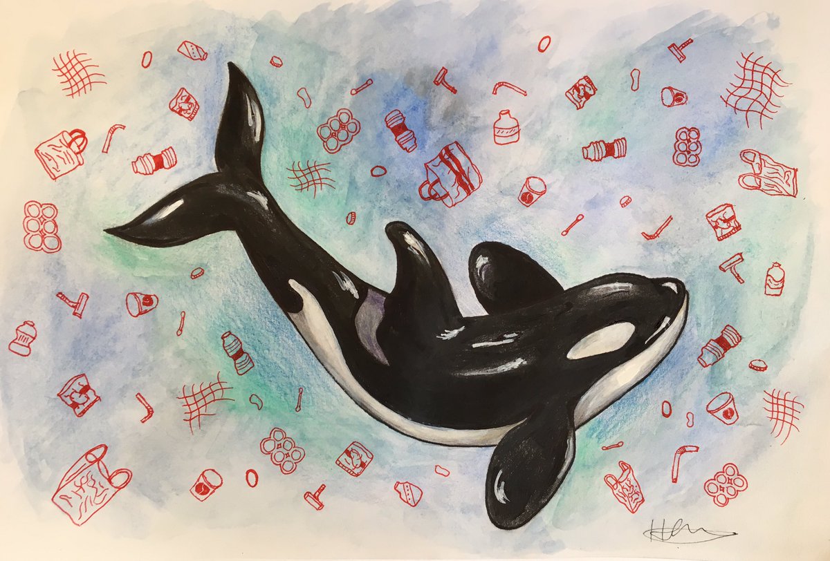 A recent piece on plastic in in our oceans, keep an eye out for the other pieces I will be doing to go with it #plasticfree #plasticwaste #oceans