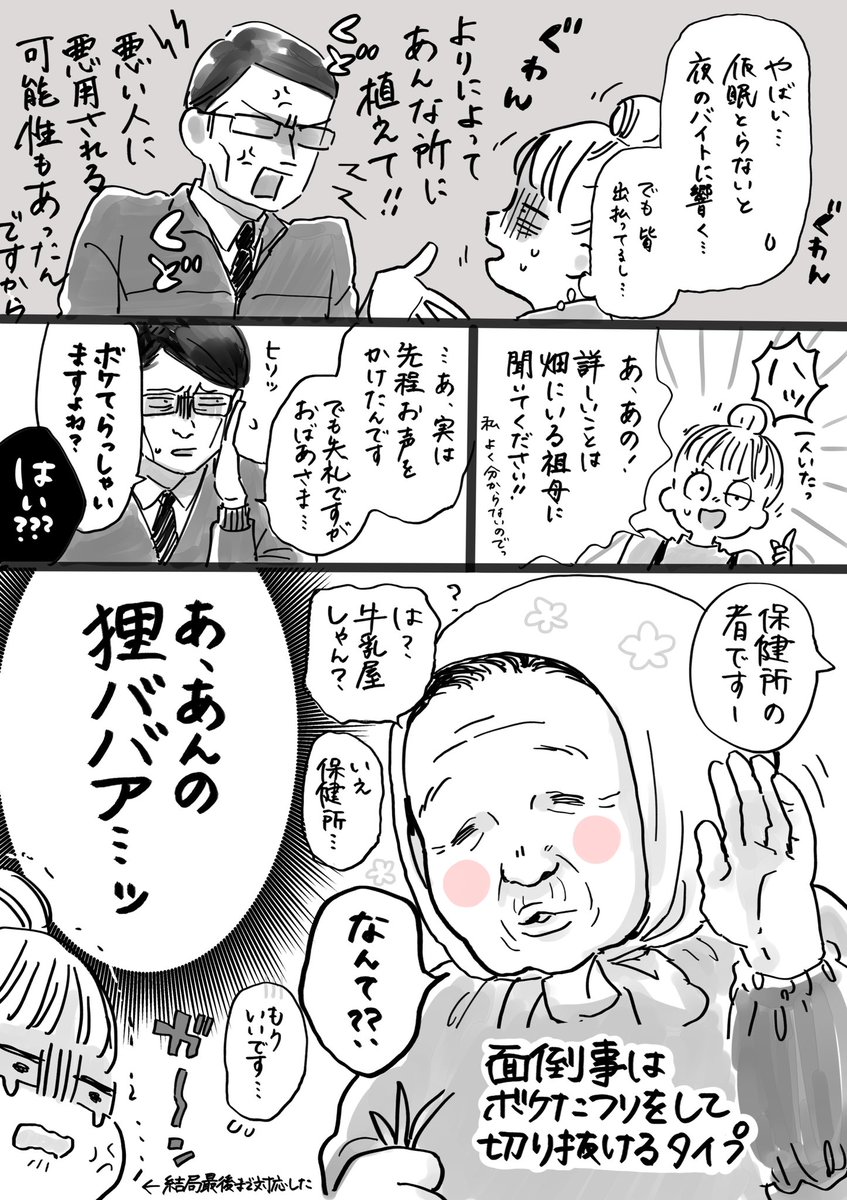 保健所の職員さん 道路沿いに大量に植えてある花 なんだか分かってます 観賞用じゃないケシだったので回収された話 田舎では風物詩 Togetter 保健所の職員さん 道路沿いに大量に植えてある花 なんだか分かってます 観賞用じゃないケシだったので回収された話 田舎では風物詩 Togetter