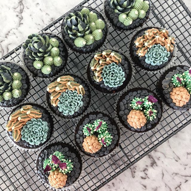 Cocoaandflour's tweet photo. The only gardening that gets done around here 🌿 
#succulentcupcakes https://t.co/B3ZH24vzrT