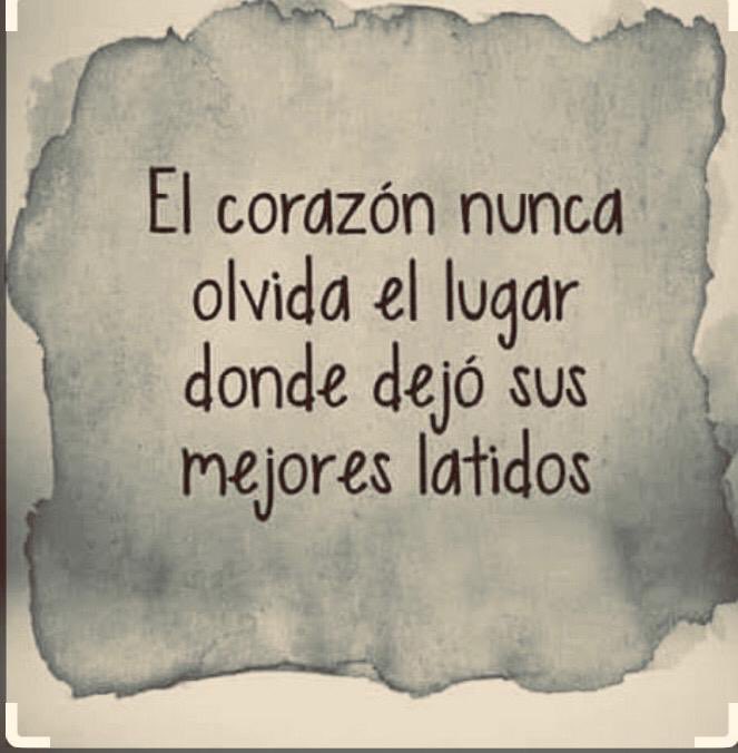 leonsfdo's tweet photo. Solo eso..... que a la vez es mucho

Buen sábado!!! https://t.co/6IbcBbLrC4