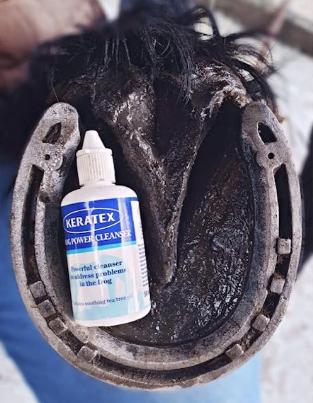 KeratexHoofcare's tweet image. Frog trouble? Our Frog Power Cleanser is great for frogs that need some attention. It works on the frogs with a soothing cleansing &amp;amp; restorative action, preventing them from becoming over-saturated (key to helping fend off potential frog-related issues.) Pic @friesianwanderess