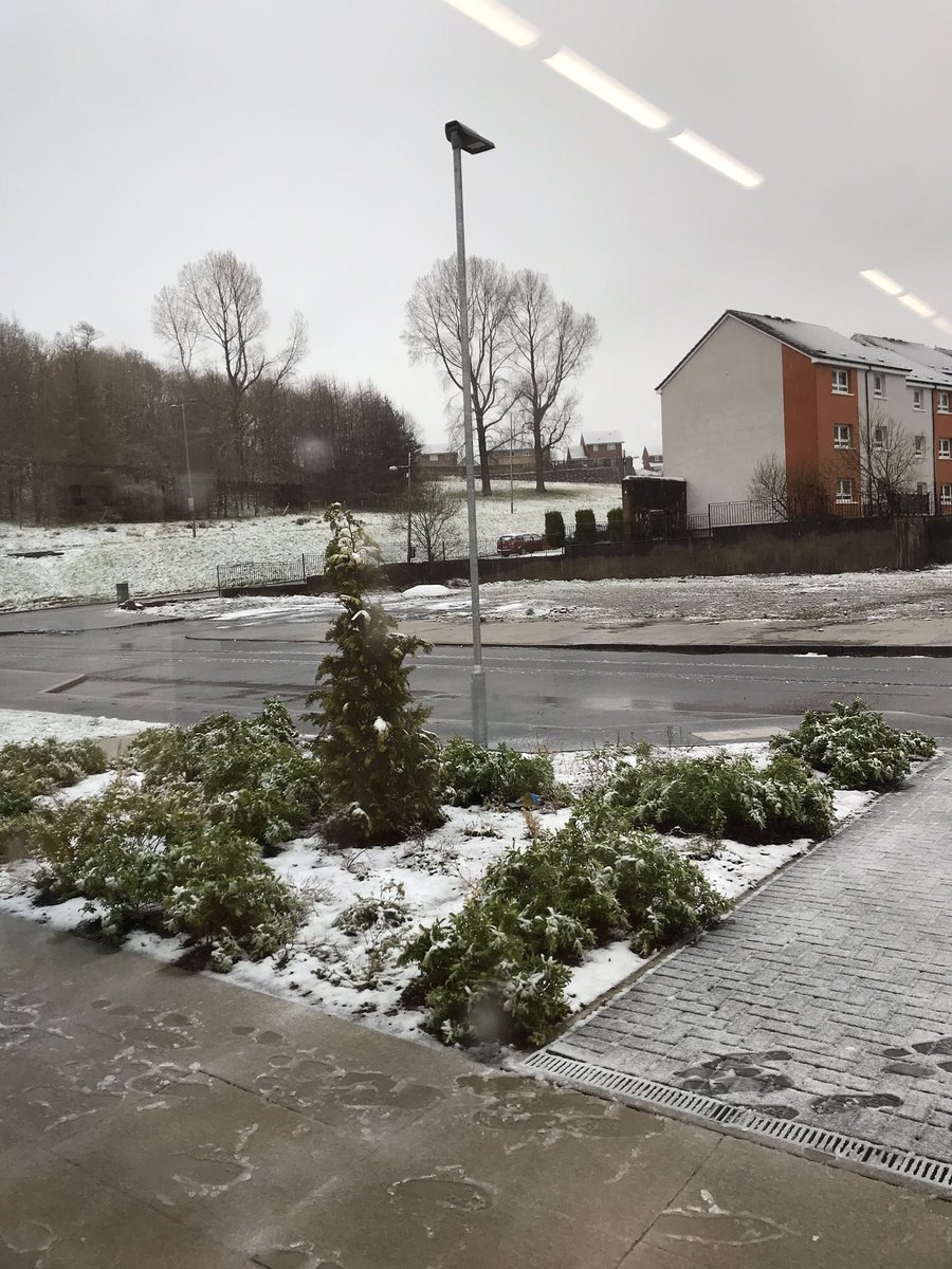 codercastlemilk's tweet image. Getting ready to go this month 🙂