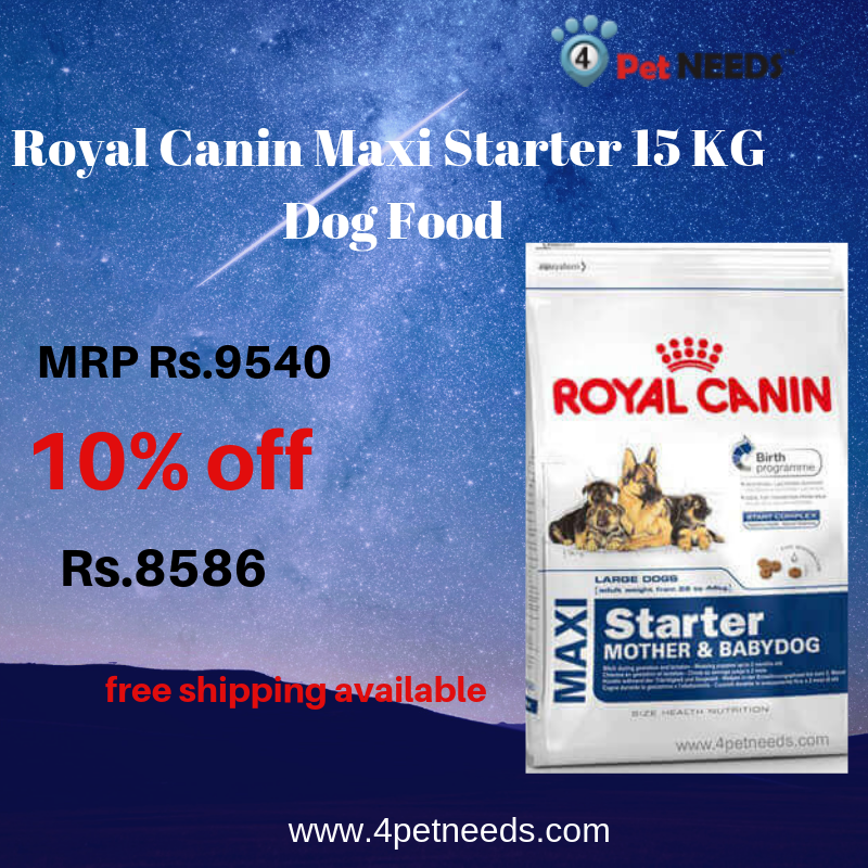 royal canin maxi starter 15kg price